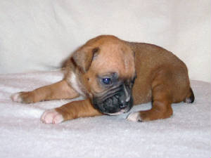 babygirl3.jpg