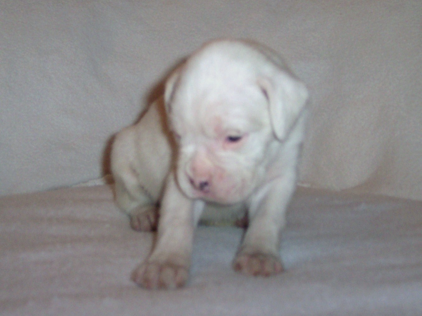 casper-1.jpg