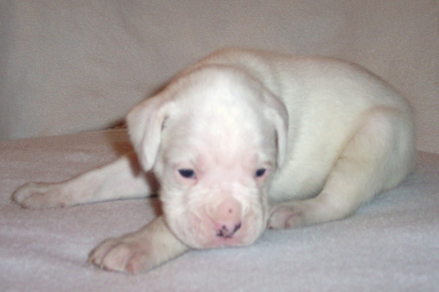 casper-2.jpg