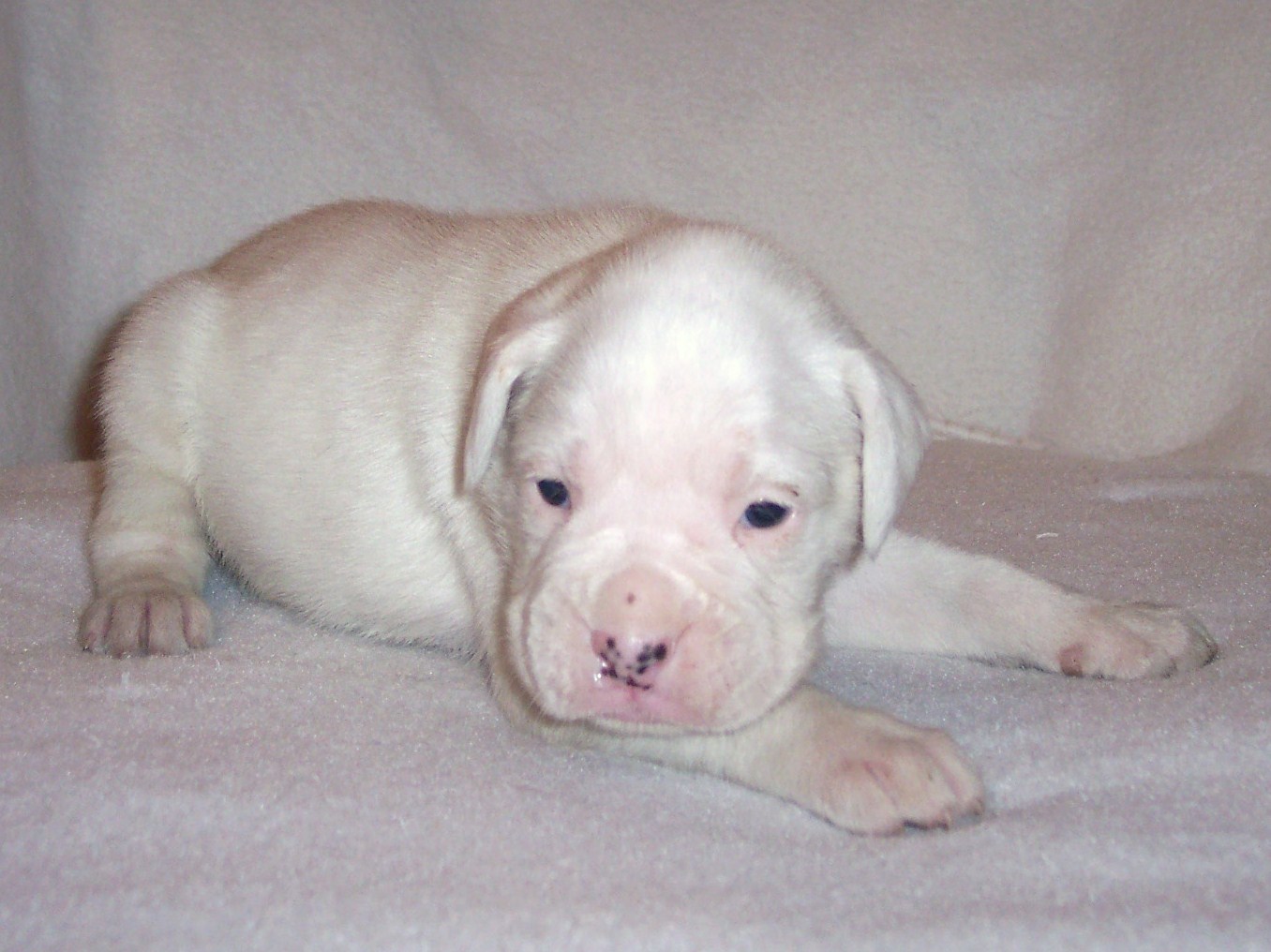 casper-3.jpg